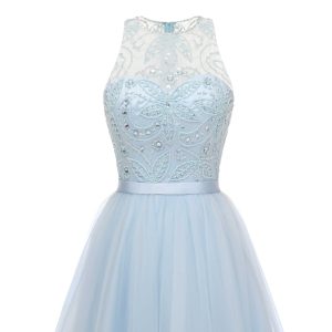 Sleeveless Sky Blue Tulle Bridesmaid Dresses