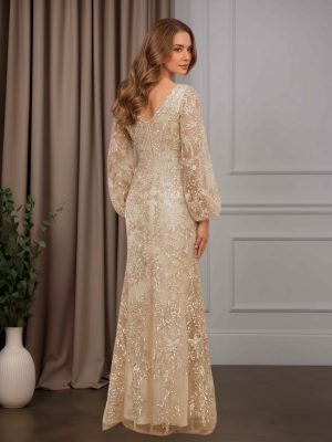 Sheath/Column V-Neck Long Sleeves Floor-Length Mother of the Bride Dresses with Lace Appliques